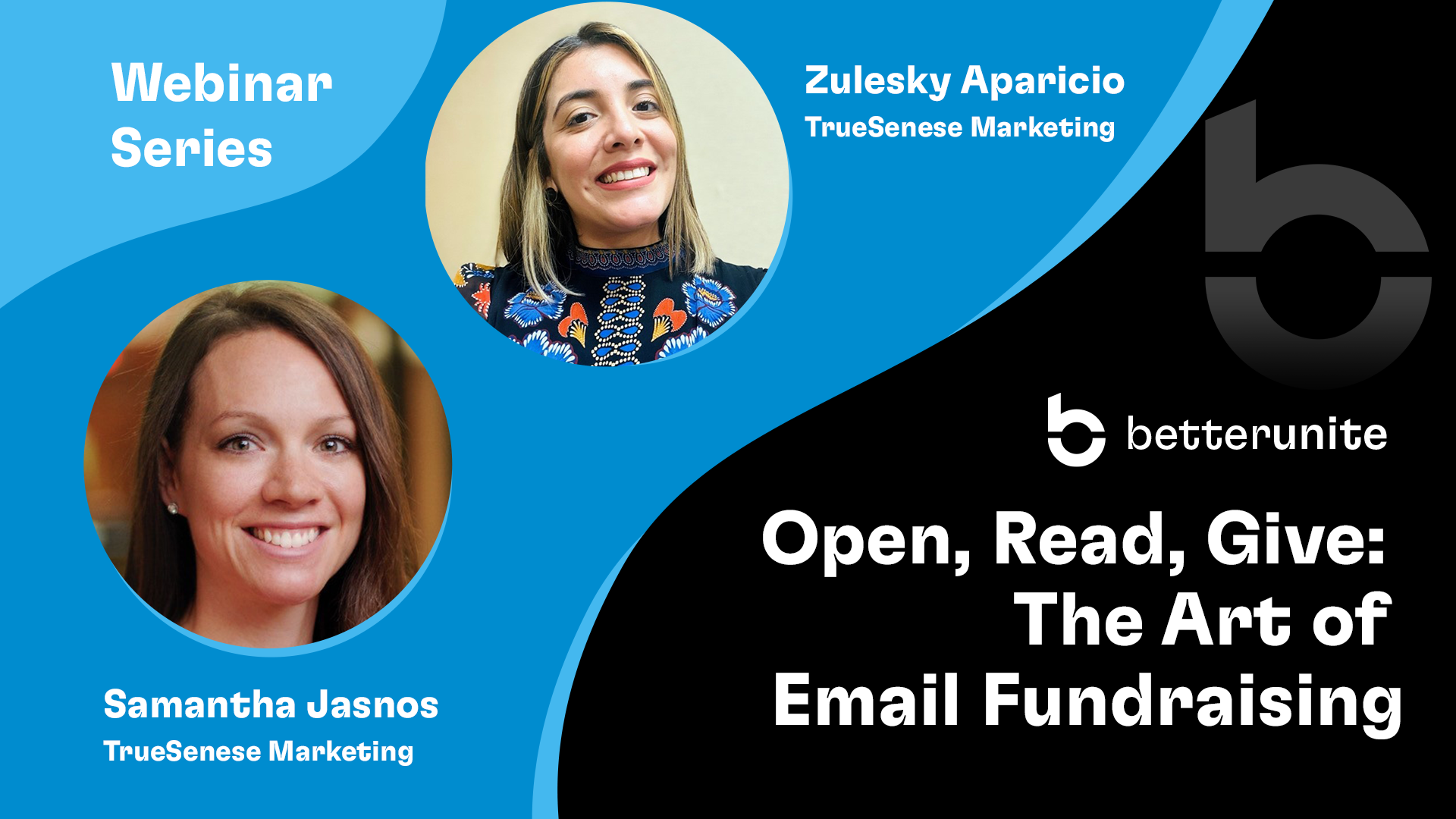 Truesense Webinar